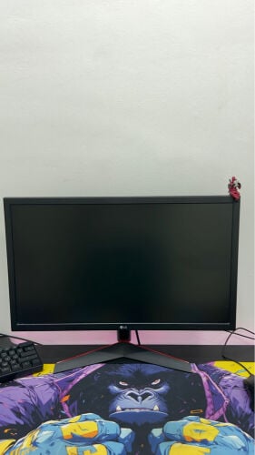 Lg ultragear gaming monitor 144hz