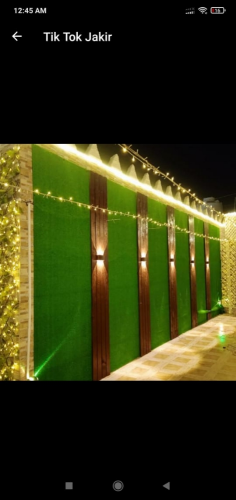 العشب الصناعي زينه