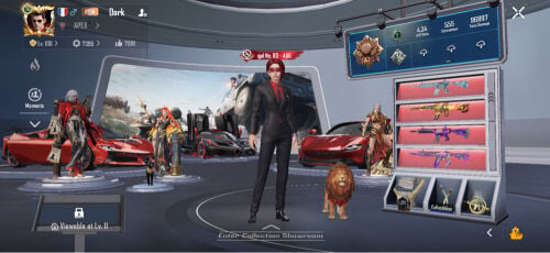 VIP pubg account