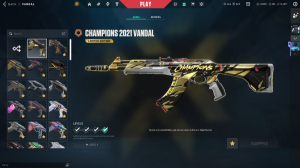 Valorant Champion 21-24 +350 Skins