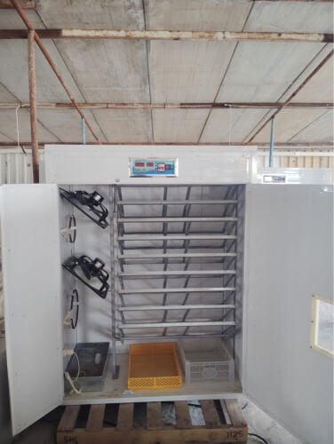 Egg Incubator machine 