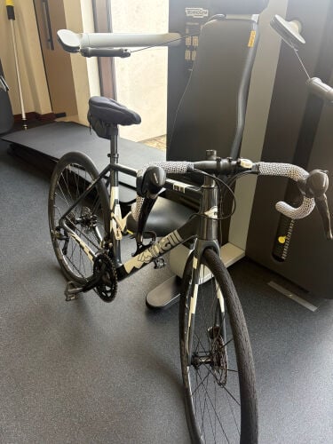 Cinelli Palio Carbon Road Bike 