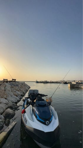 سيدو فش برو 