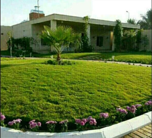 ديكور منازل حدائق 