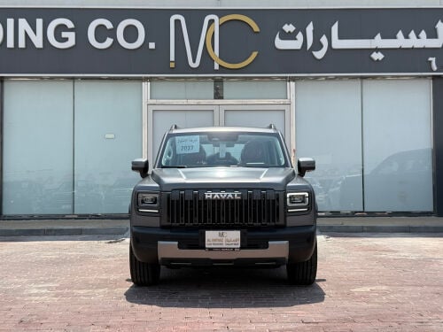 هافال في سفن رمادى 2027 اصفار