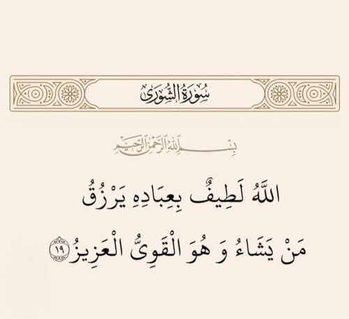 يامن عبدالمطلب عبدالعليم احمد
