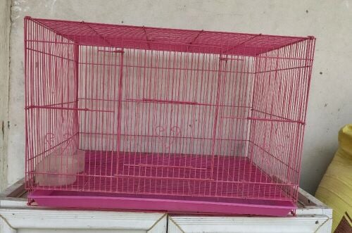 Birds cage pink