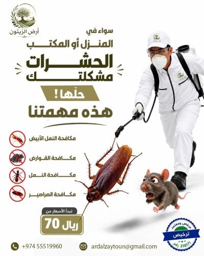 رش مكافحه الحشرات