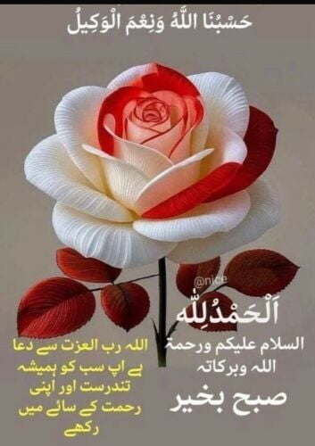 noor