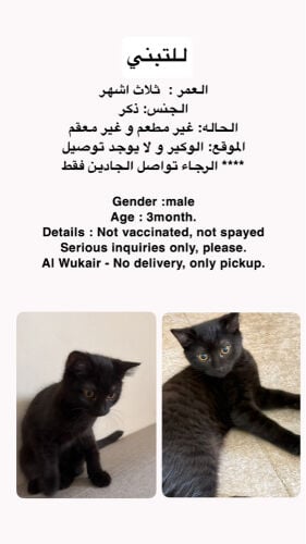 For adoption