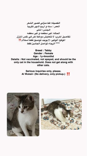 For adoption