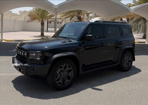  صبغ وكاله جيتور تي٢