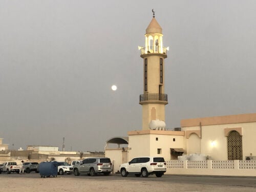 نحتاج طباخ معجنات 