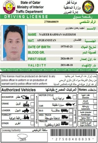 نجیب