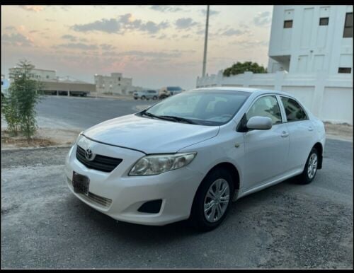 33741905 only whatsapp