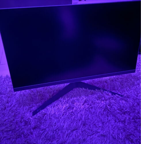 LG ULTRAGEAR 24GS50F Monitor