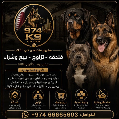 متوفر جميع انواع الكلاب 