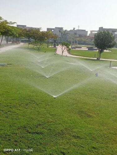شبكه الراي
