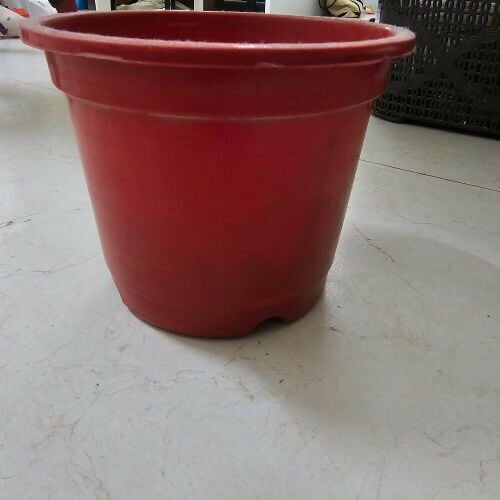 plant pots