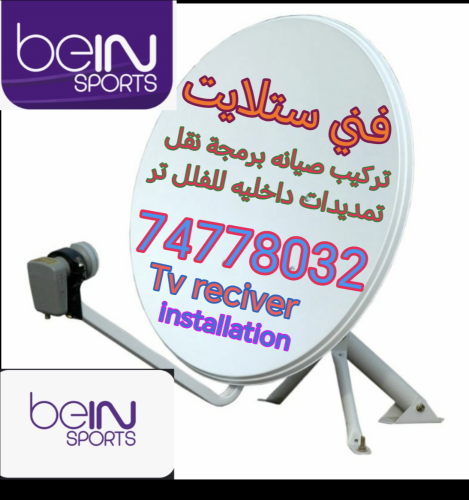 فني ستلايت