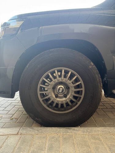 برايد ٥ بلوط مع شواهين 