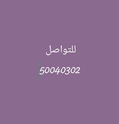 معلمة لغة انجليزية