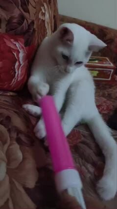 Mariam