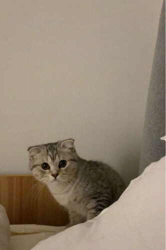 no name 