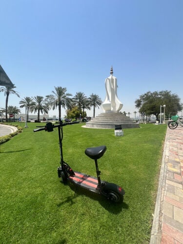 Electric Scooter 
