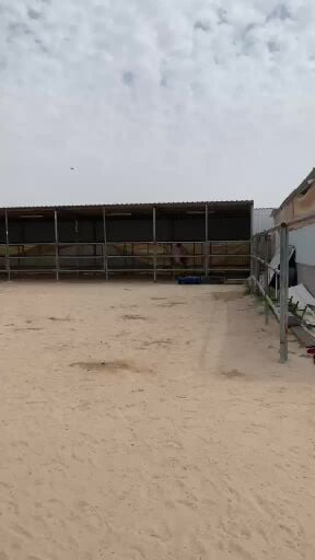 عزبه هيجن بالريس للتنازل والبيع 