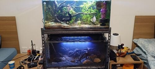 For Sale – 2 Complete Aquariums