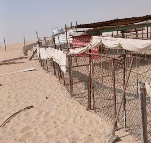 شراء جميع العزب وسكراب وكباين
