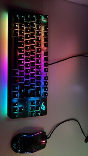 mouse & keyboard