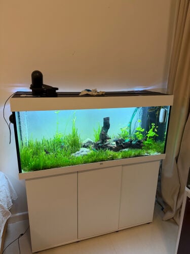 fish tank 240 liters 