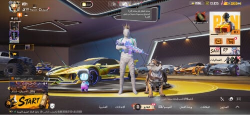 حساب ببجي للبيع للصاملين