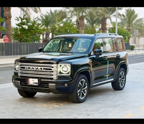 مطلوب هافال ورد قطر 