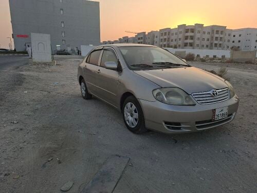 for sall 2003