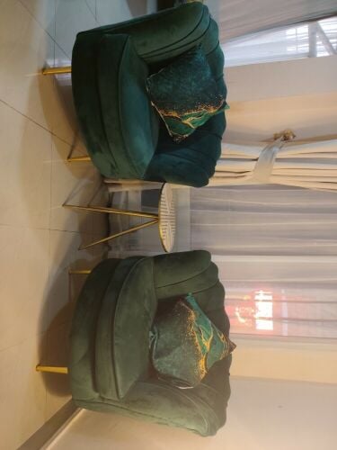 Set of 2 Chairs