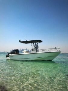 2010 Boston Whaler 190 Outrage