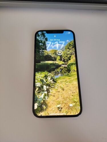 IPhone 12 Pro Max 256GB