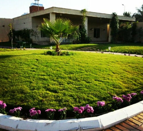  مزراع وتنسيق حدائق 
