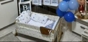 Baby swing Bassinet