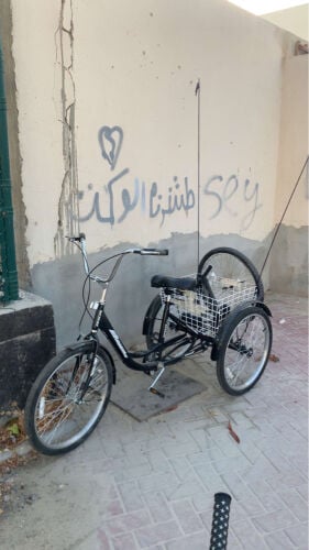 محمد 