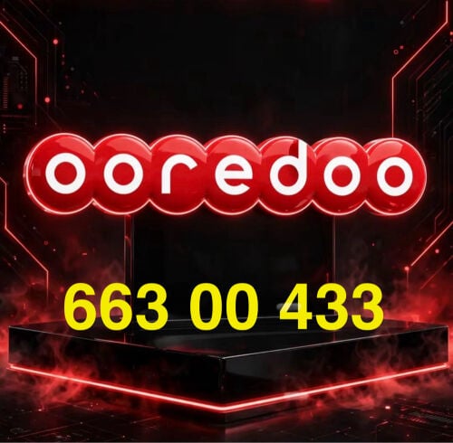 66300433 