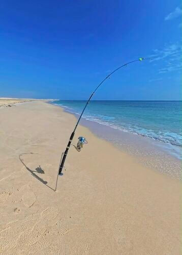 stand fishing