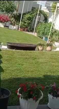 تعاقد شهري لصيانه الحدائق