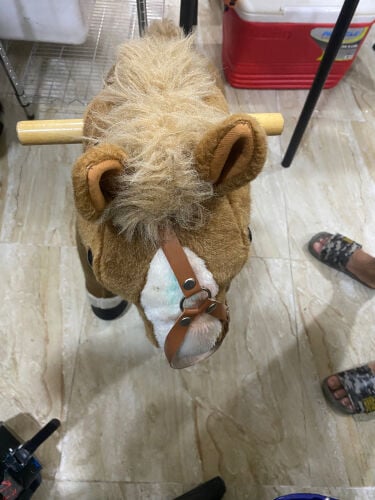 kids horse 