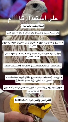 تجهيز طيور