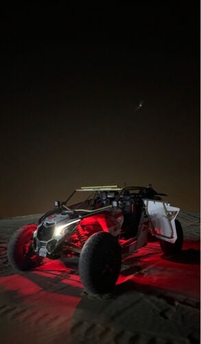 Canam 2 seat 2019 