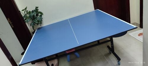 تنس الطاولة